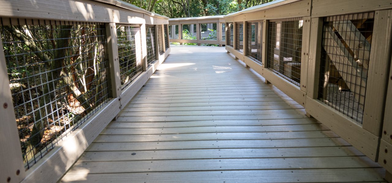 Boca Decking Repair and Replacement