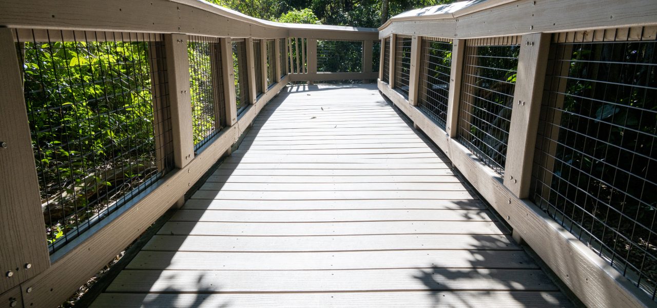 Boca Decking Repair and Replacement