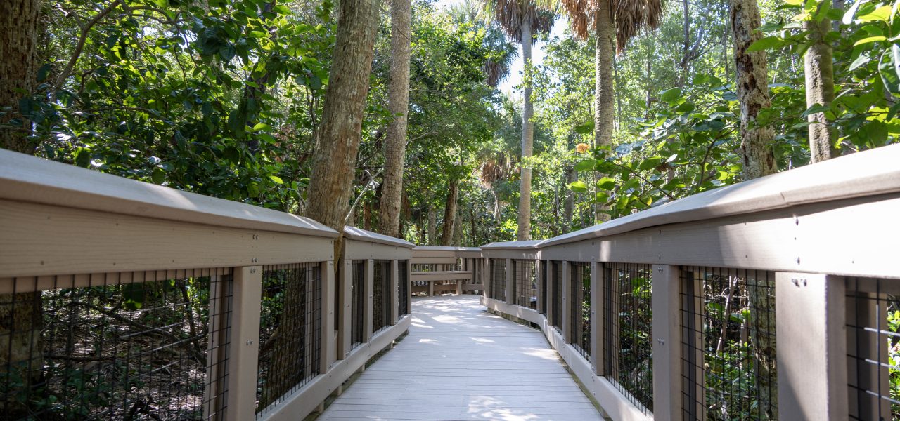 Boca Decking Repair and Replacement