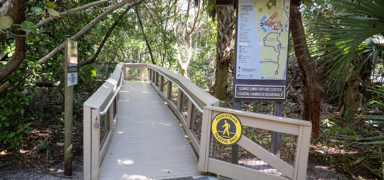 Boca Decking Repair and Replacement