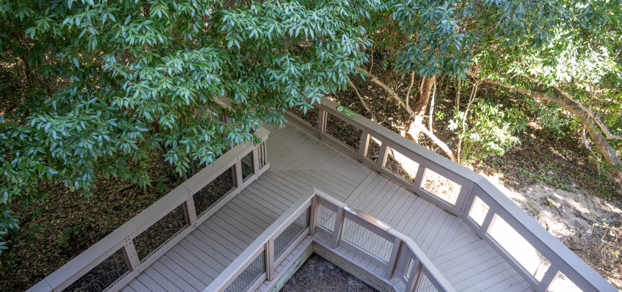 Boca Decking Repair and Replacement