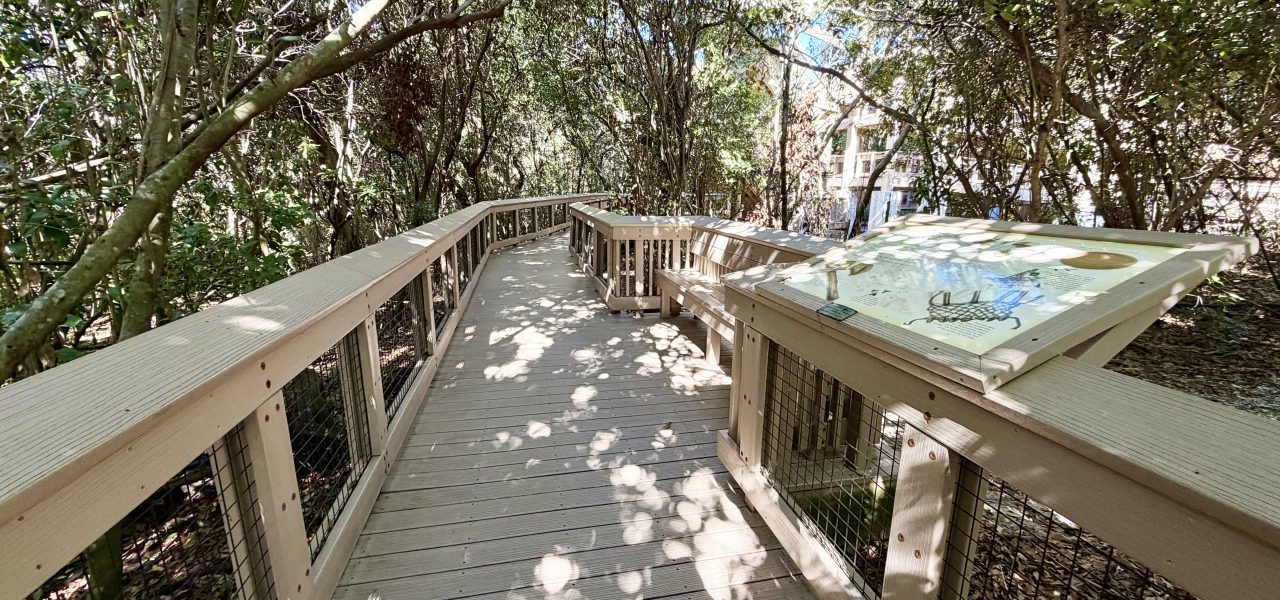 Boca Decking Repair and Replacement