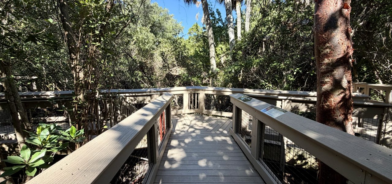 Boca Decking Repair and Replacement