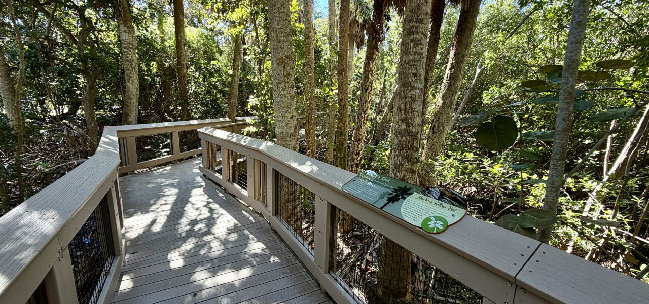 Boca Decking Repair and Replacement