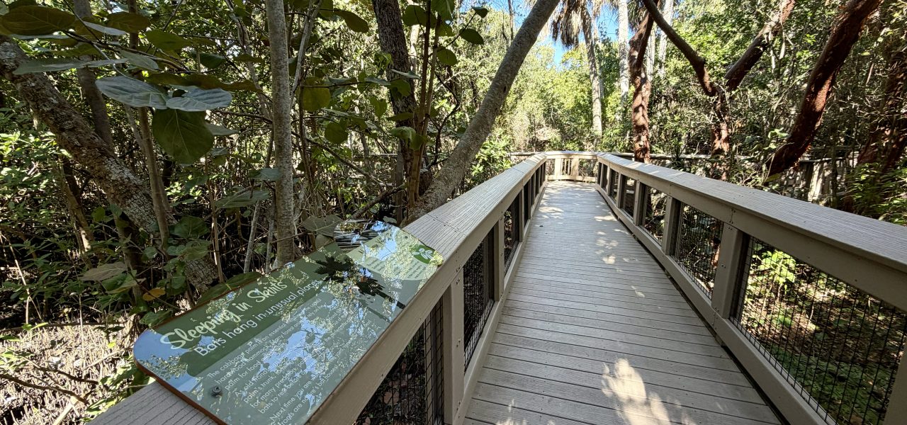 Boca Decking Repair and Replacement