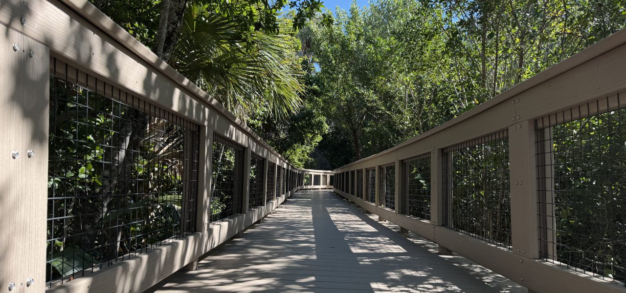 Boca Decking Repair and Replacement