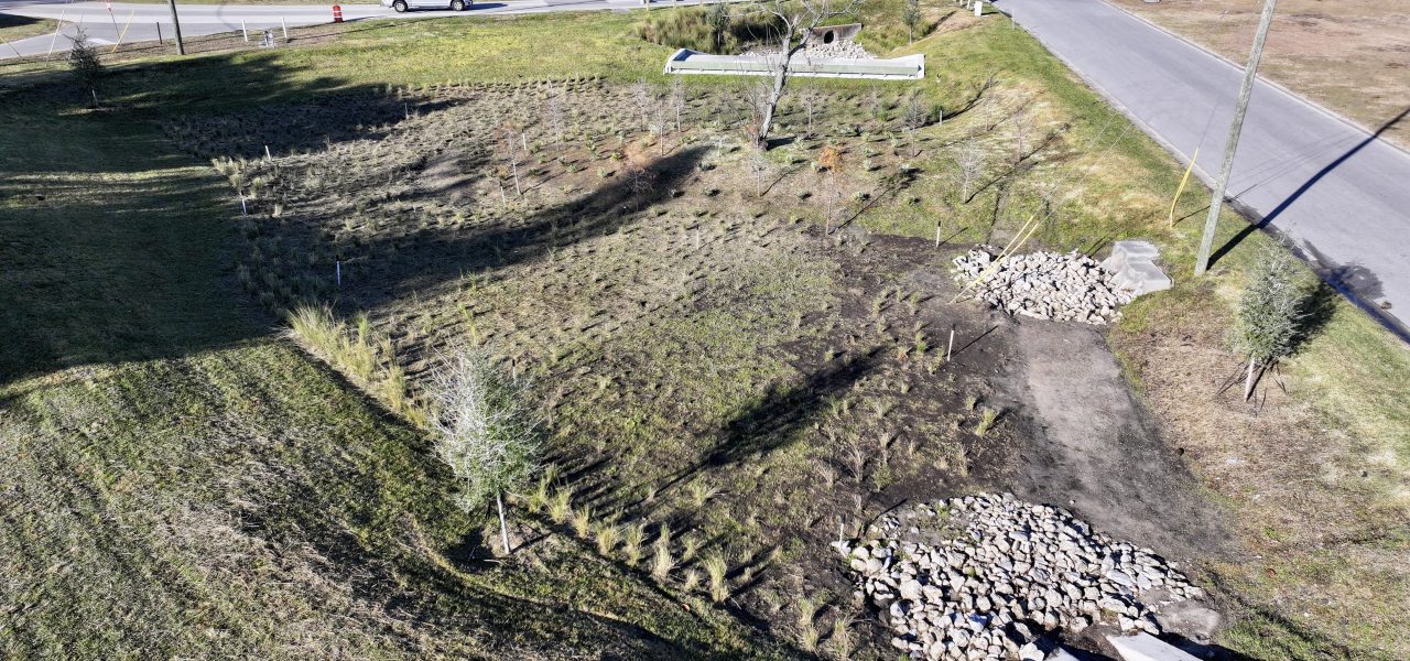 Haines City Raingardens