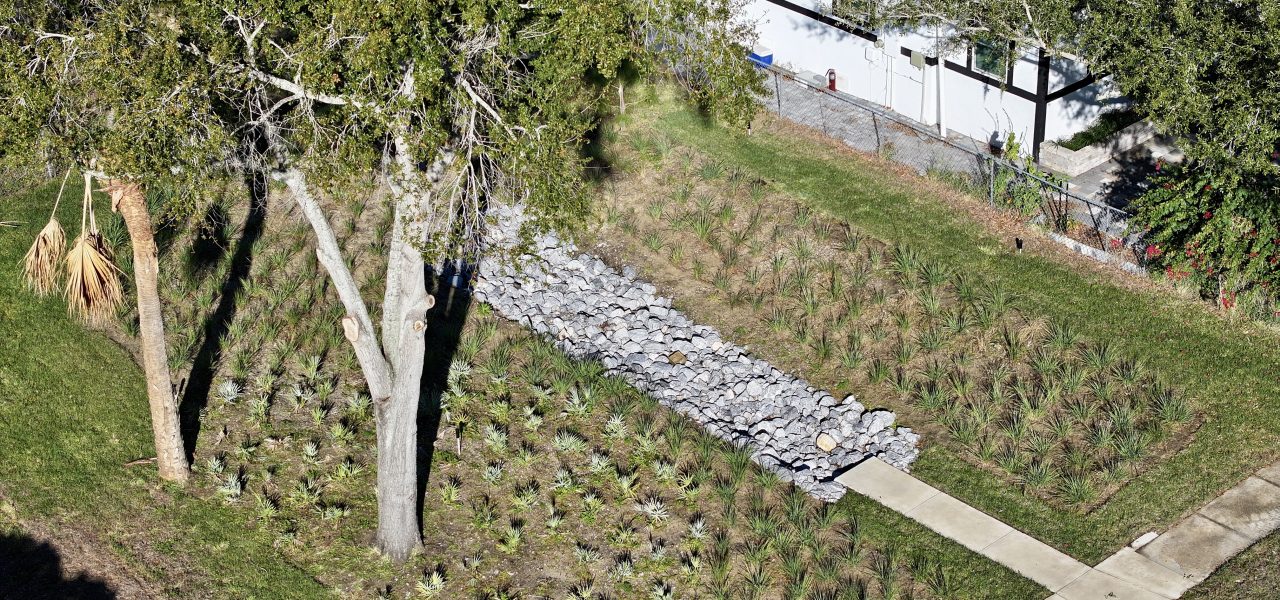 Haines City Raingardens