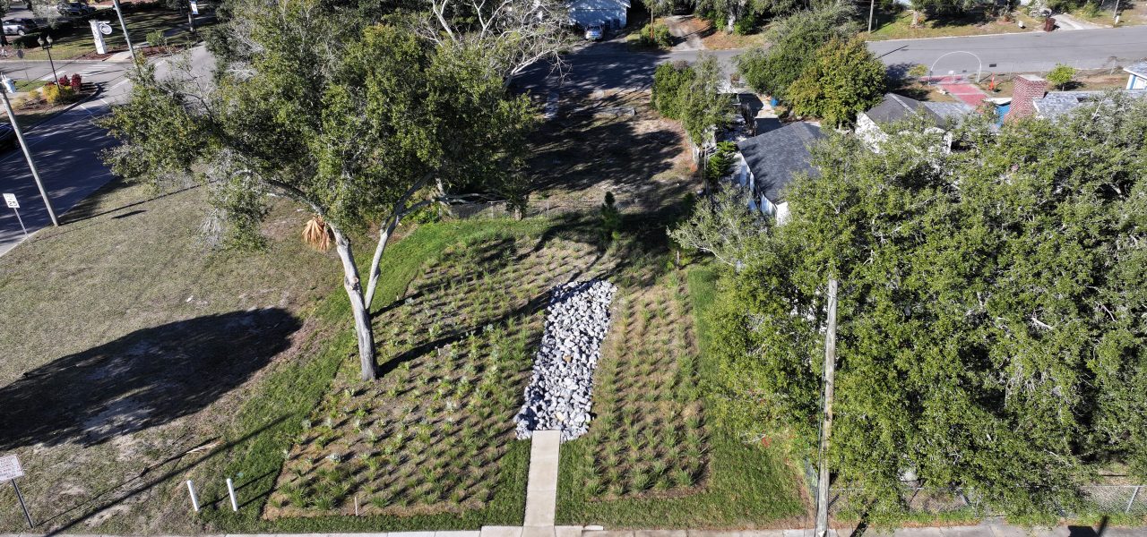 Haines City Raingardens