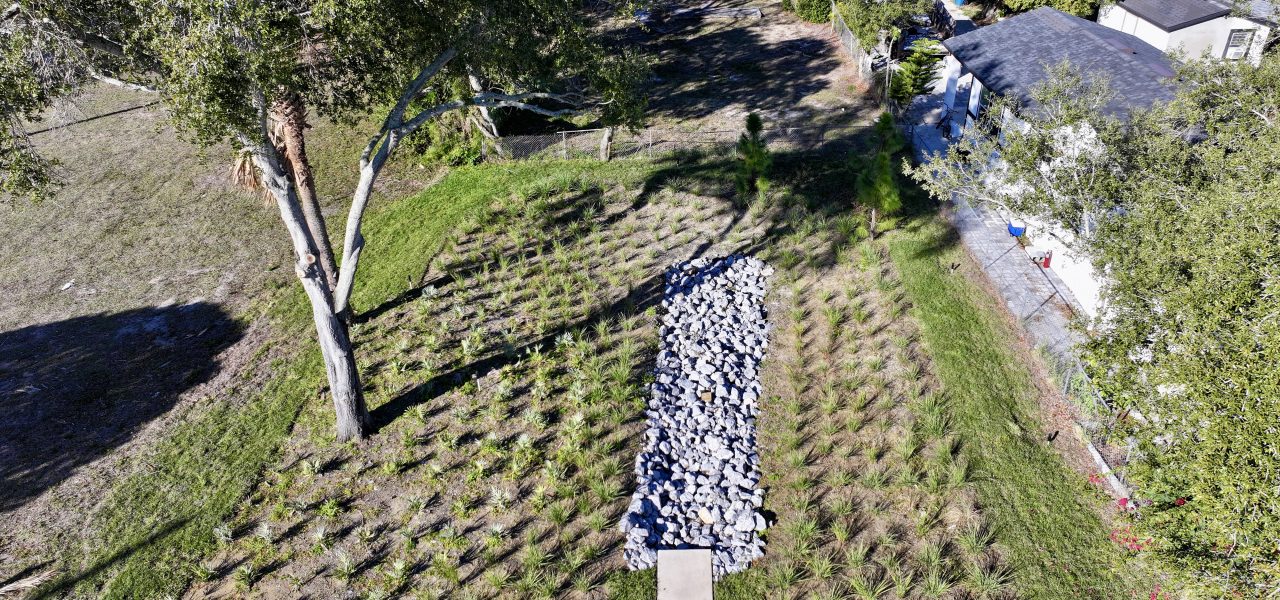 Haines City Raingardens