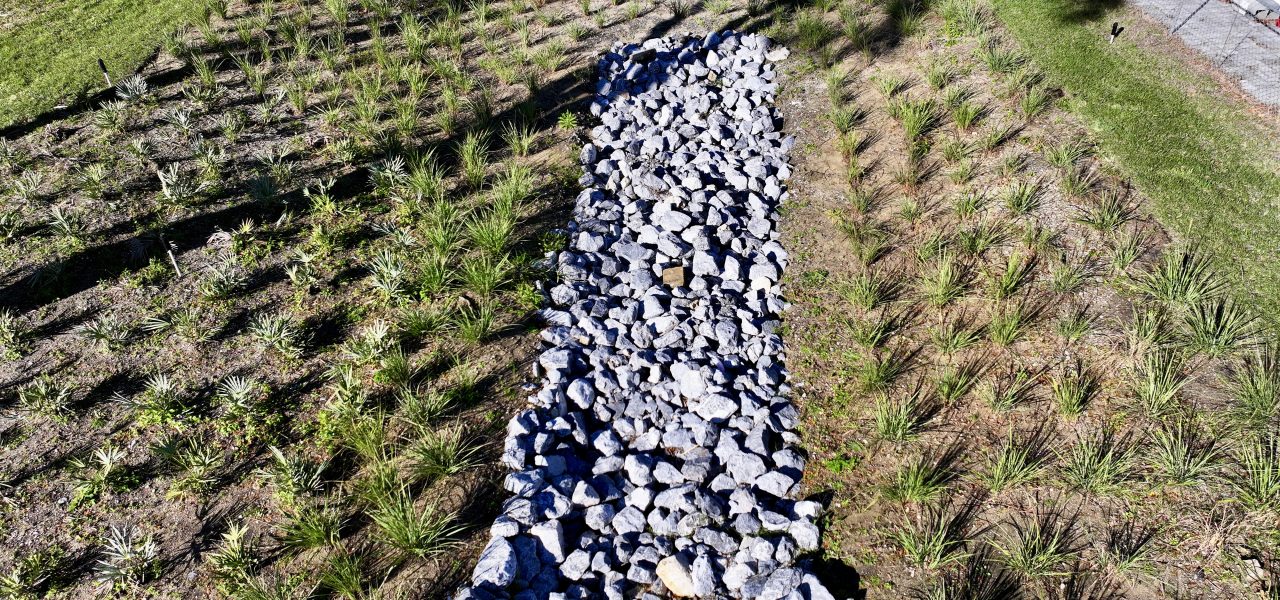 Haines City Raingardens