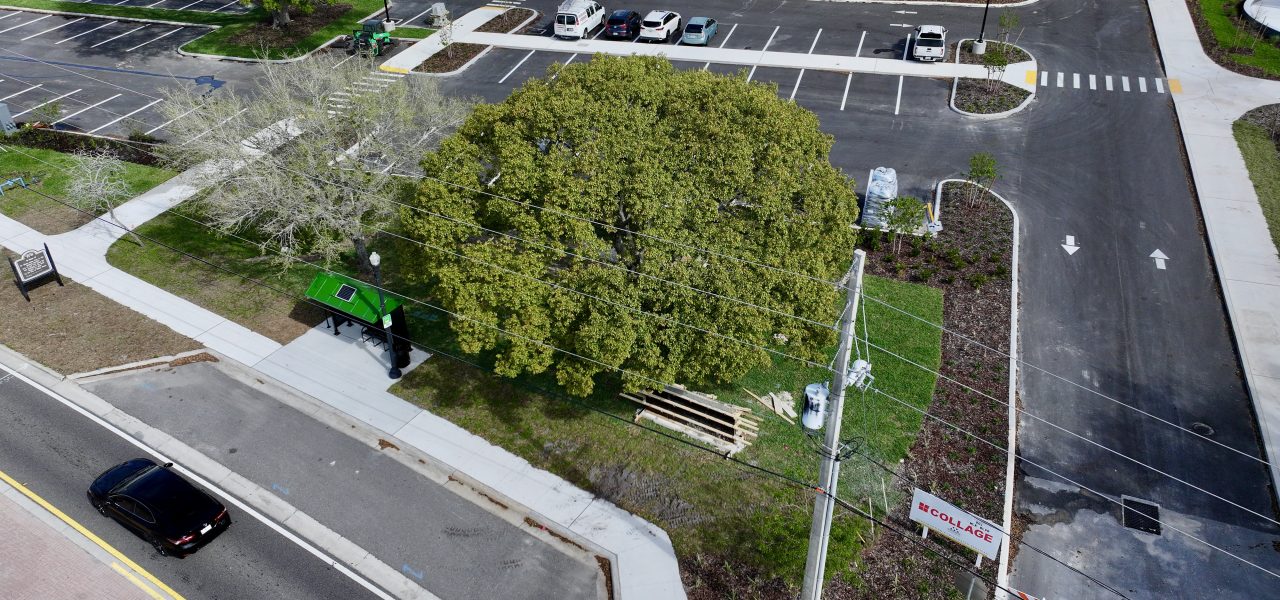 Raingarden & Stormwater Project