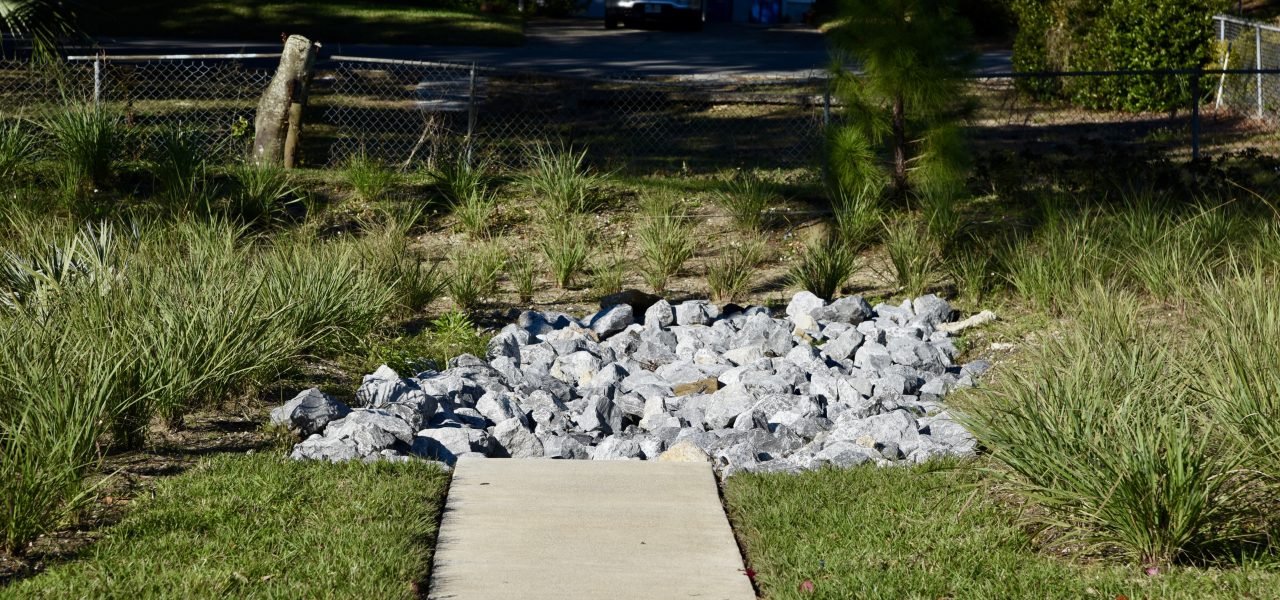 Haines City Raingardens