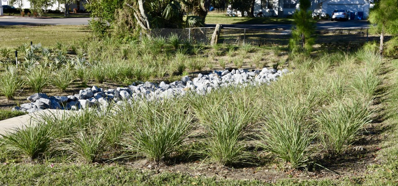 Haines City Raingardens