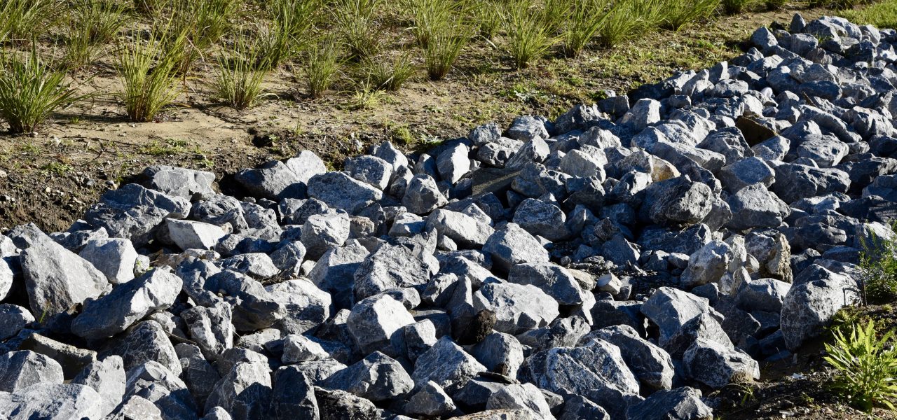 Haines City Raingardens