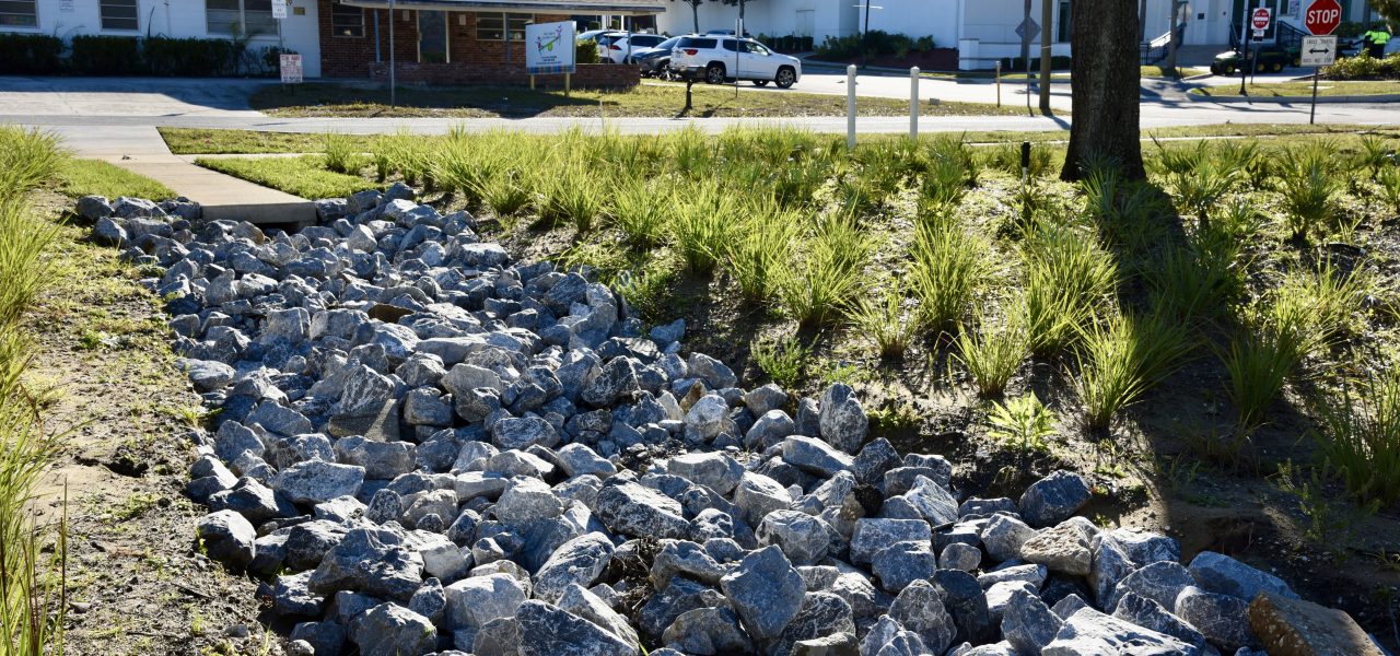 Haines City Raingardens