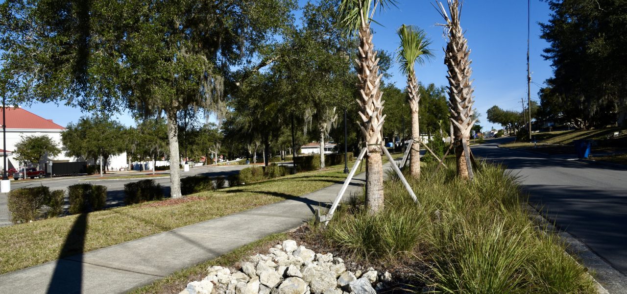 Haines City Raingardens