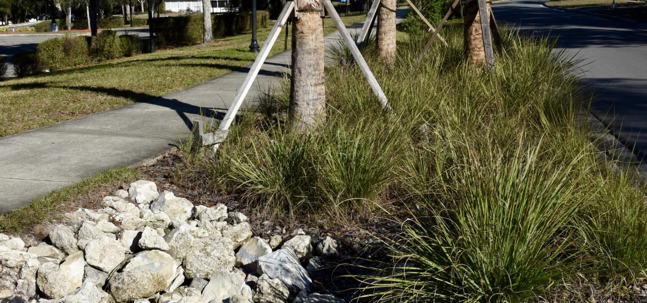 Haines City Raingardens