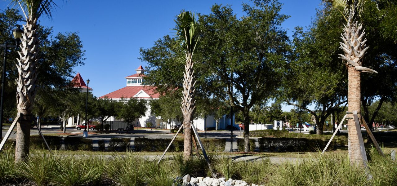 Haines City Raingardens