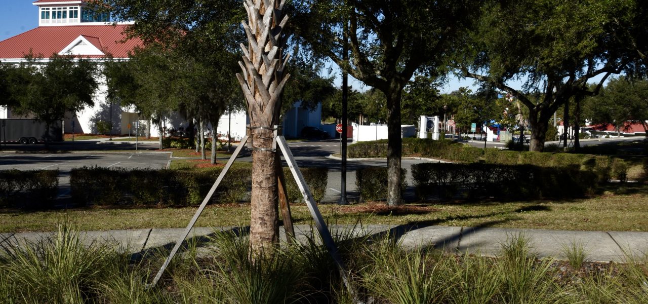 Haines City Raingardens