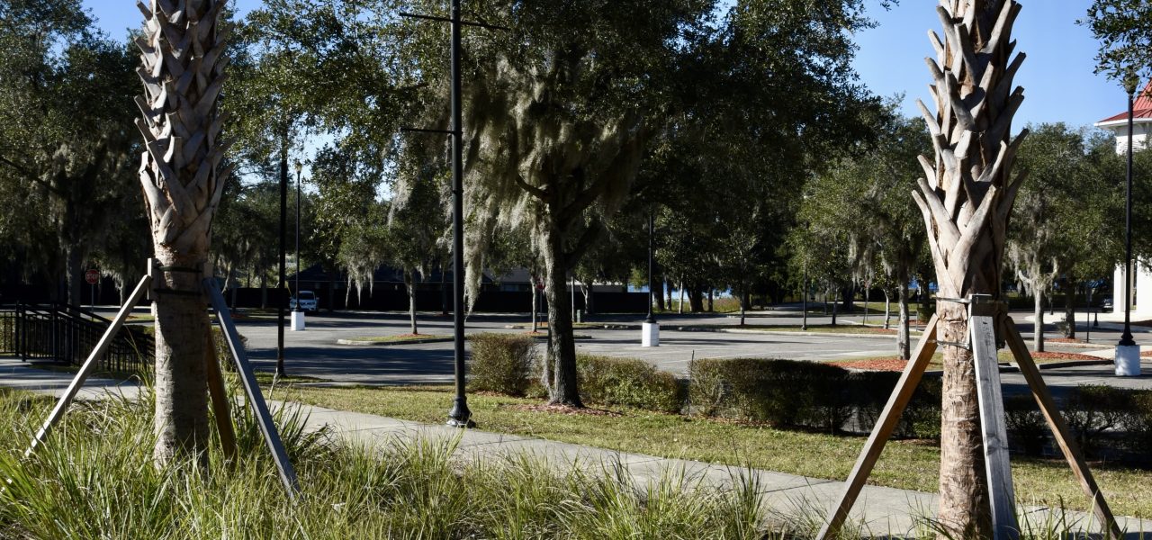 Haines City Raingardens