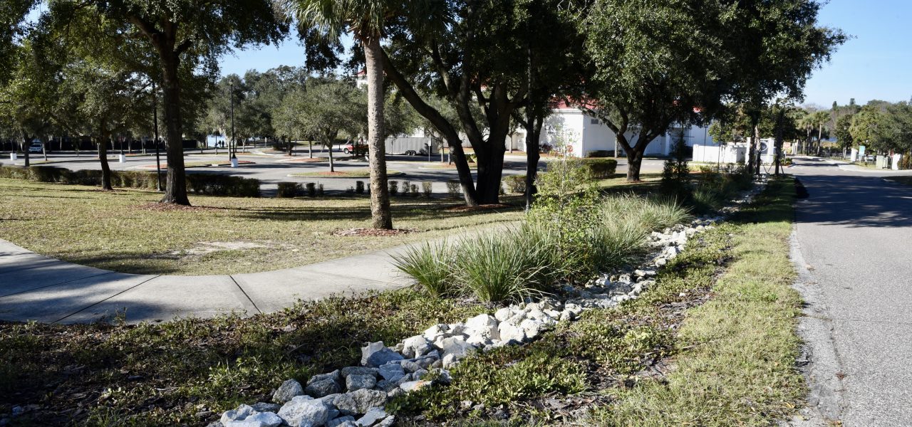 Haines City Raingardens