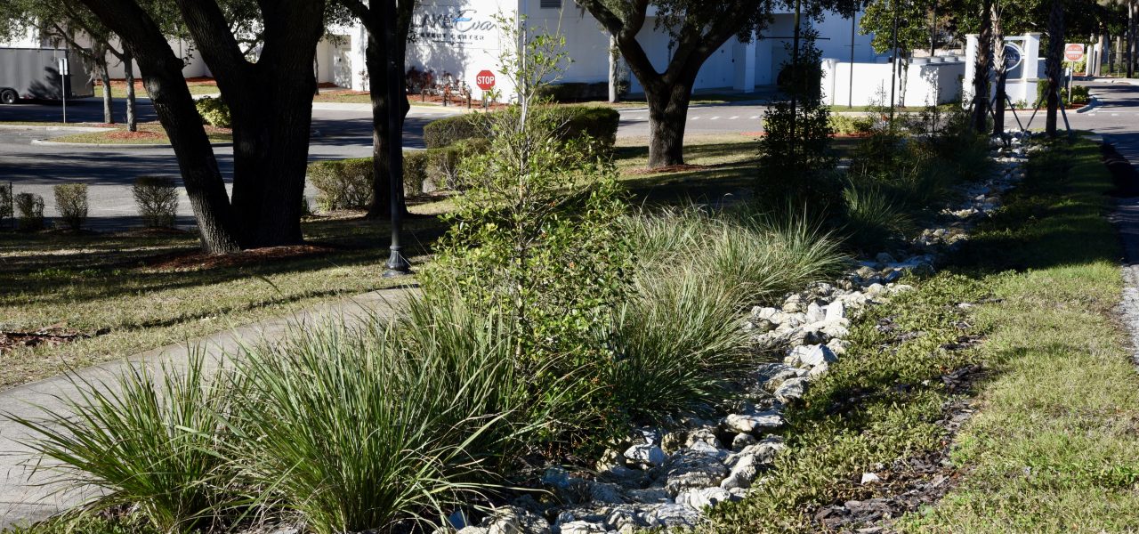 Haines City Raingardens