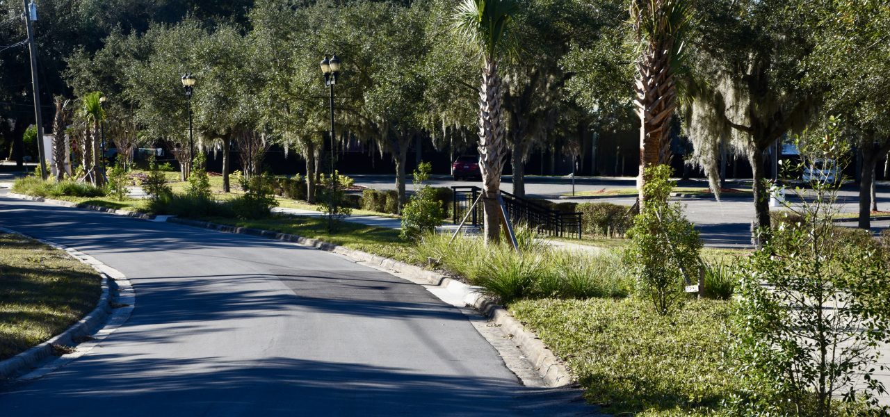 Haines City Raingardens