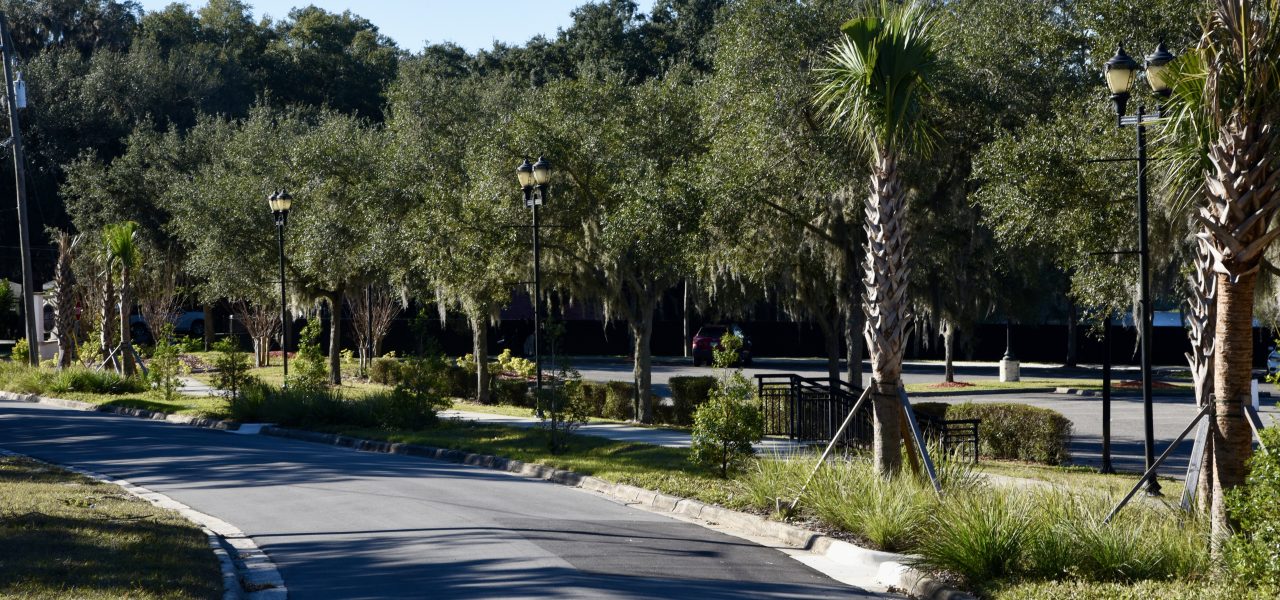 Haines City Raingardens