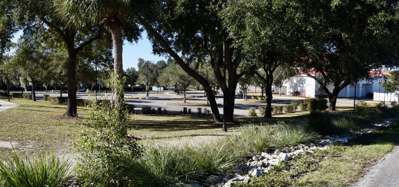 Haines City Raingardens