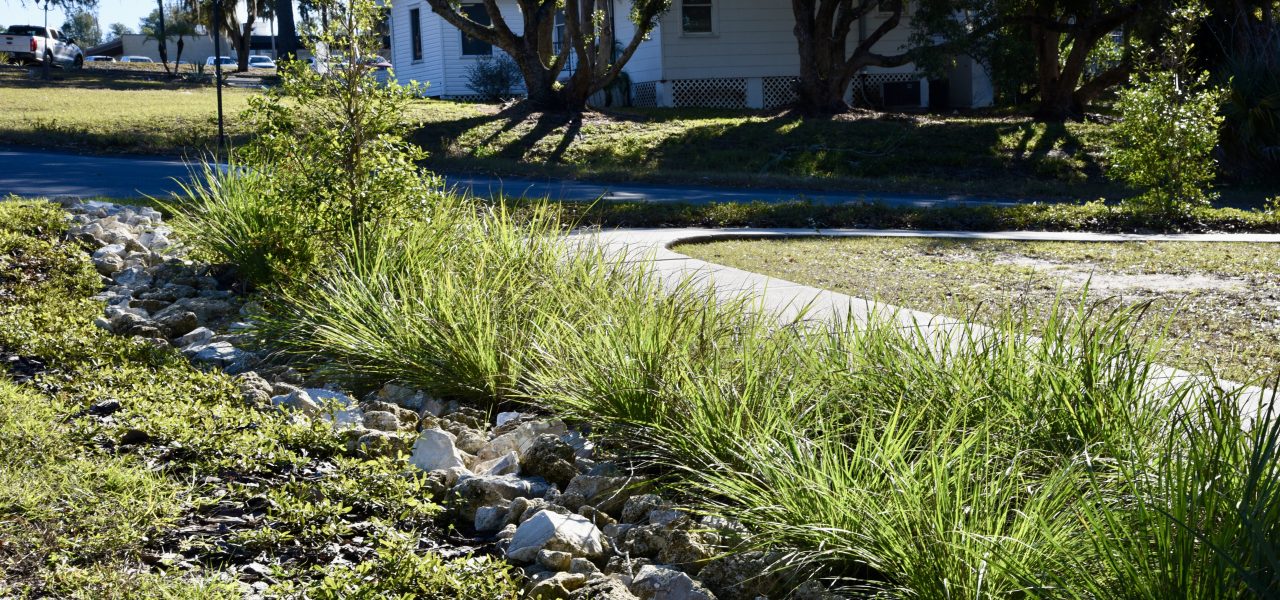 Haines City Raingardens