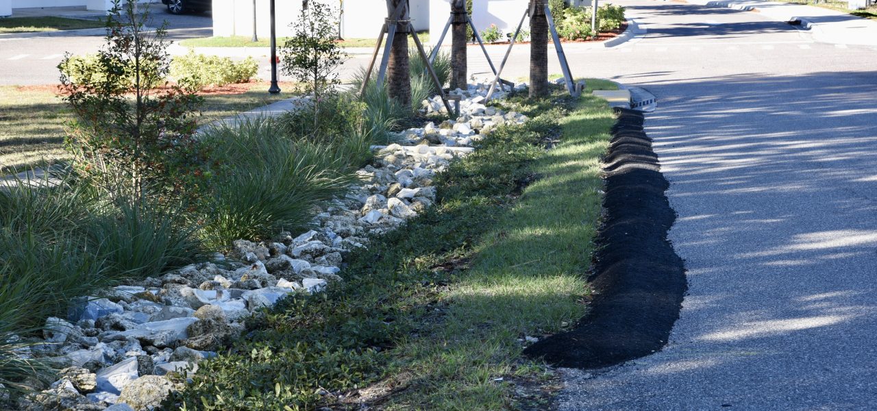 Haines City Raingardens