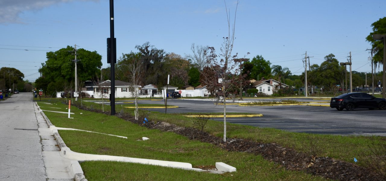 Raingarden & Stormwater Project