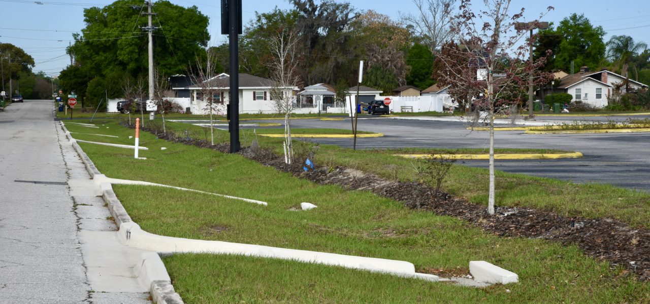 Raingarden & Stormwater Project