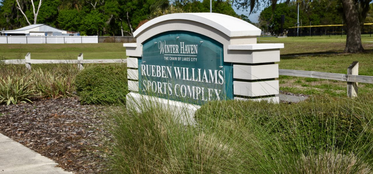 Raingarden & Stormwater Project