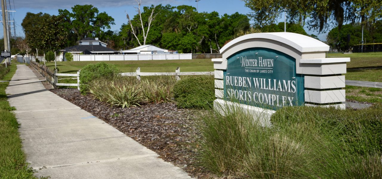 Raingarden & Stormwater Project