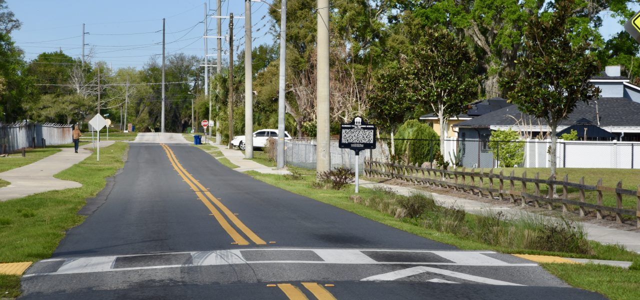 Raingarden & Stormwater Project