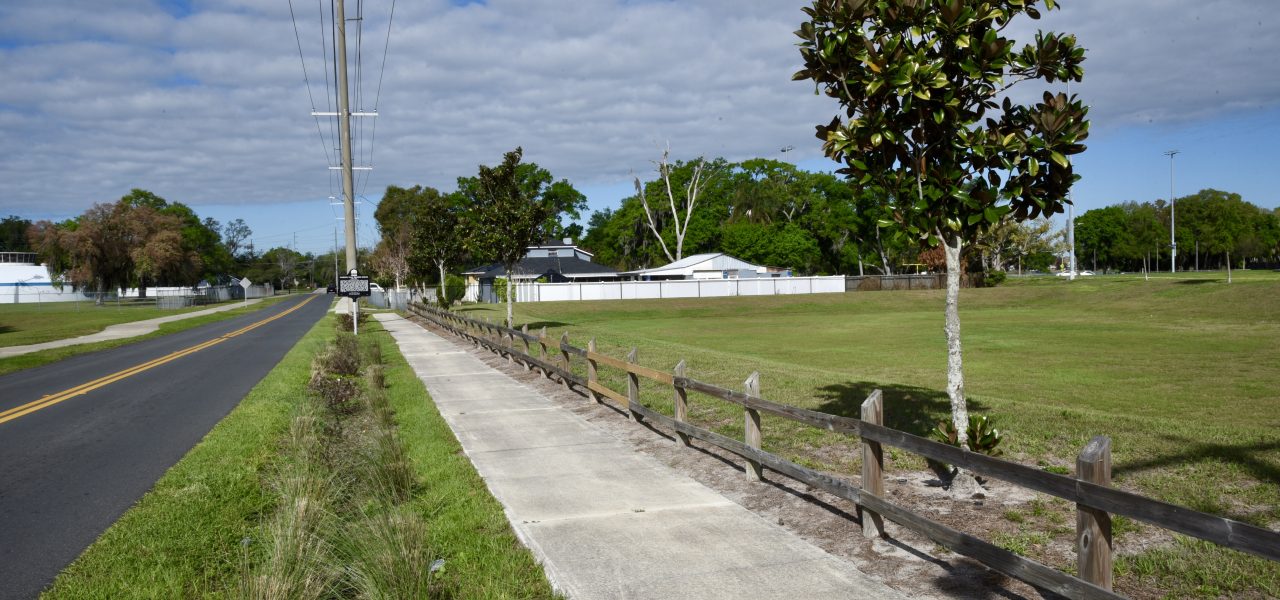 Raingarden & Stormwater Project