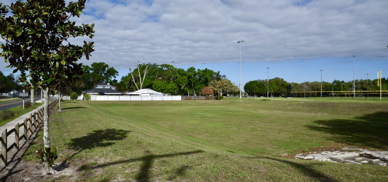Raingarden & Stormwater Project