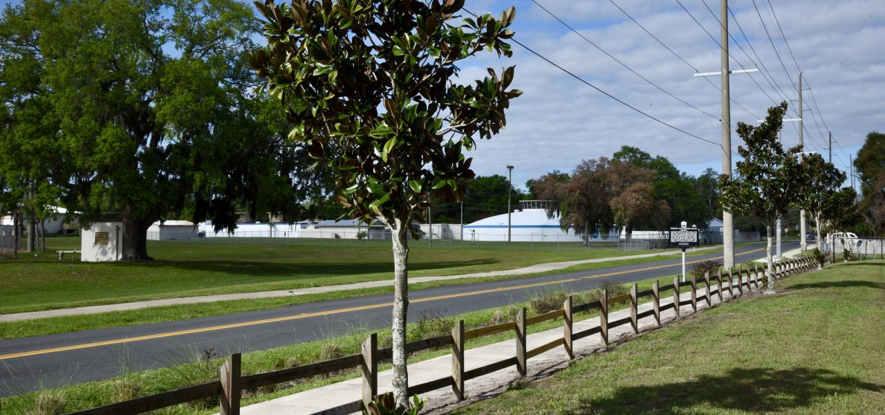 Raingarden & Stormwater Project