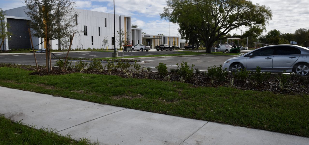 Raingarden & Stormwater Project
