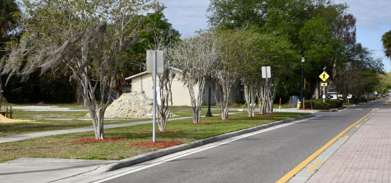 Raingarden & Stormwater Project