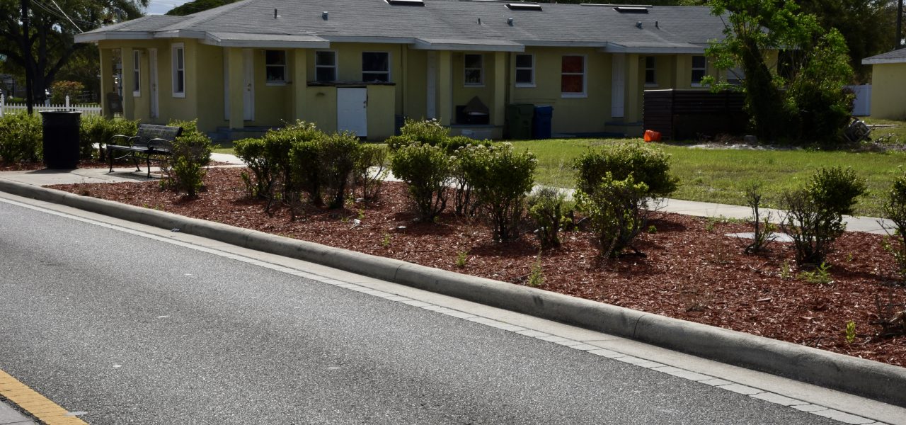 Raingarden & Stormwater Project