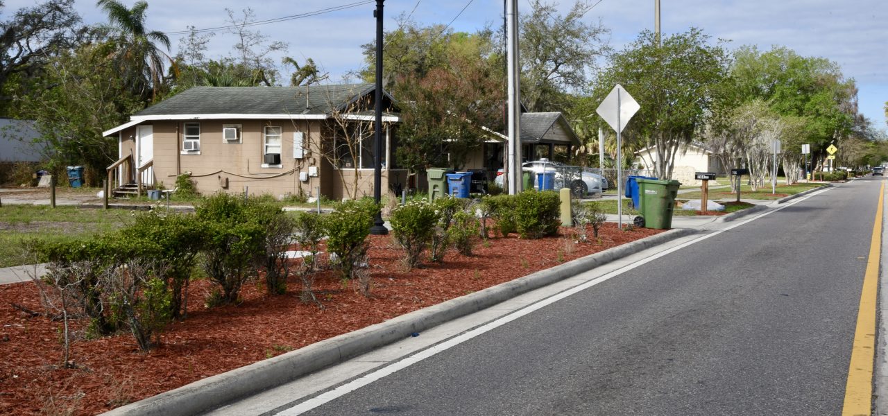 Raingarden & Stormwater Project