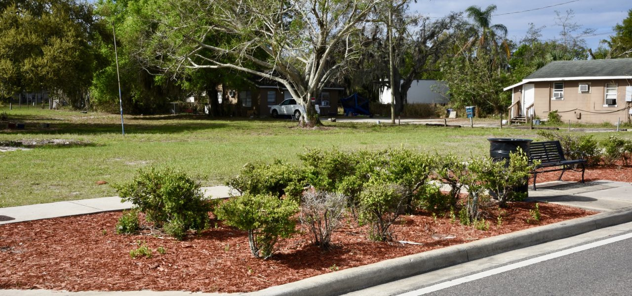 Raingarden & Stormwater Project