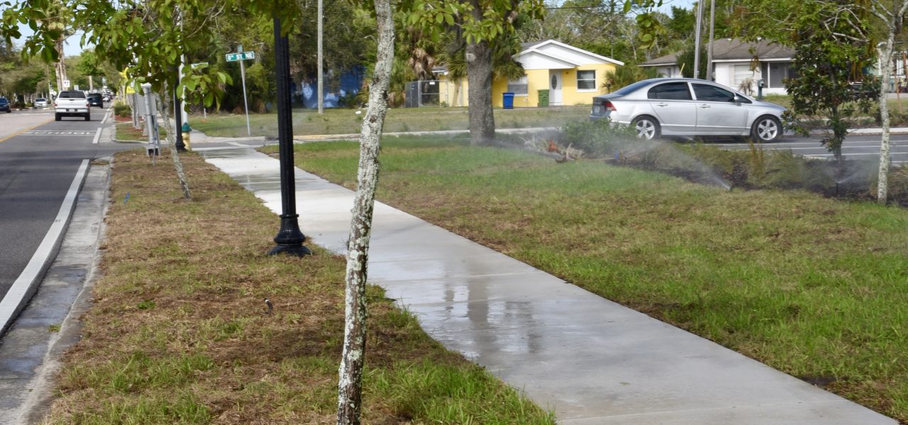 Raingarden & Stormwater Project