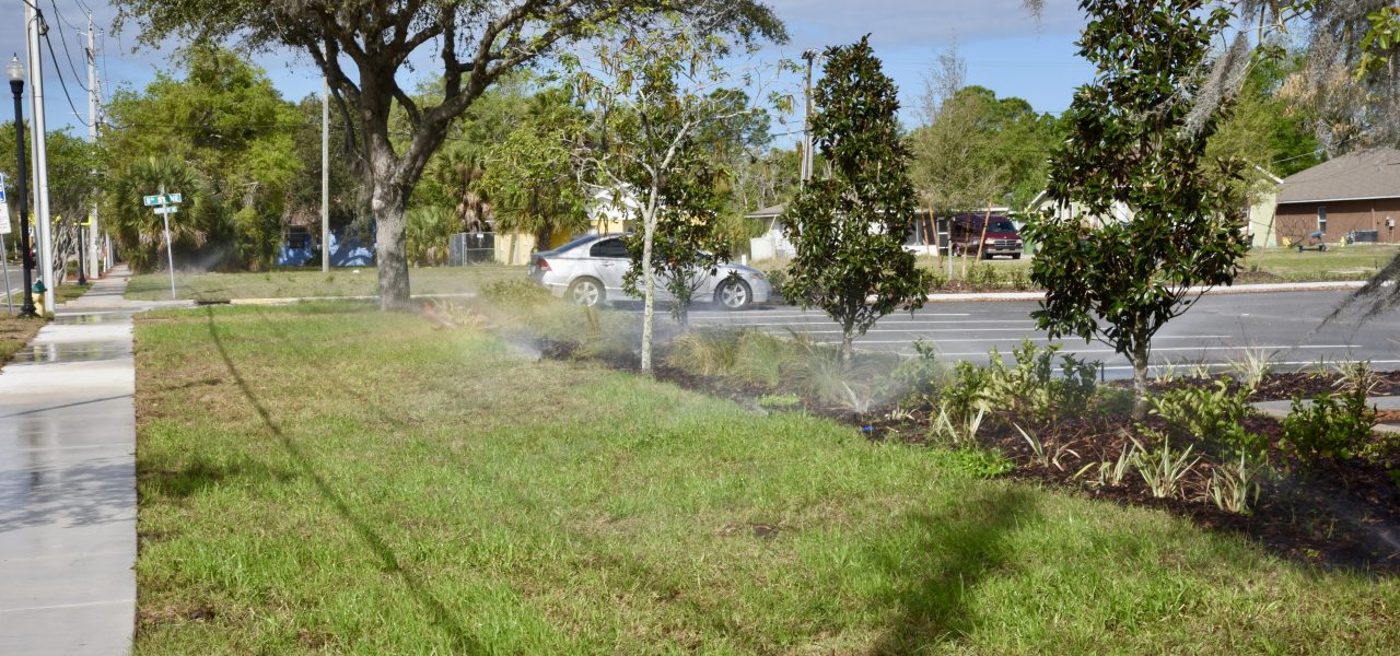 Raingarden & Stormwater Project