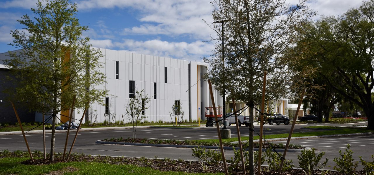 Raingarden & Stormwater Project